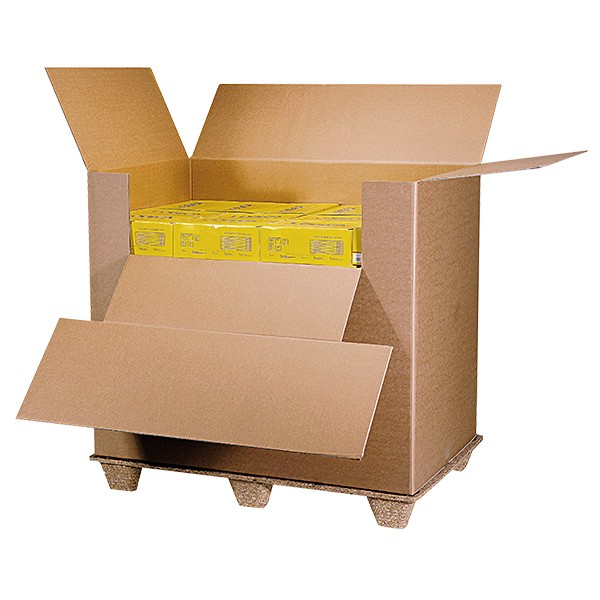Caisse container carton avec abattant
