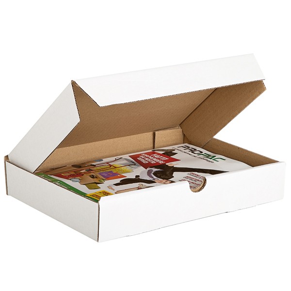 Boîte extra-plate d'expédition en carton blanc - Longueur -cm- 31 - Largeur -cm- 23 - Hauteur -cm- 2.5 - 