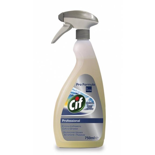 Sgrassatore Cif 10 e lode professionale