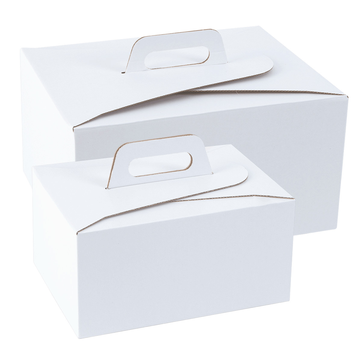 Boîte alimentaire à emporter "doggy bag"